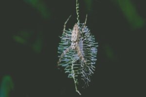How Global Poverty and Sanitation Problems Contribute to the Spread of Infections