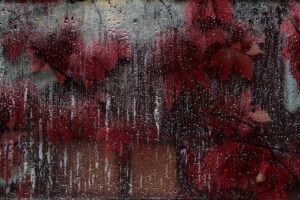 Lessons Learned from the Deadliest Infectious Disease Outbreaks in Human History