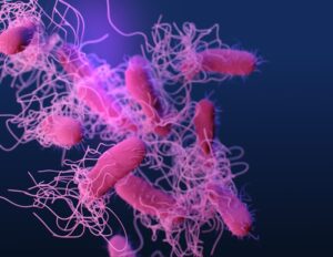 The Role of International Cooperation in Preventing and Managing Pandemics