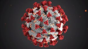 What History Teaches Us About Human Responses to Infectious Disease Threats