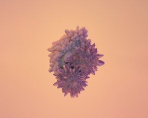 What Makes Emerging Infectious Diseases So Difficult to Predict and Contain